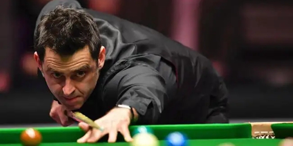 稳定参与 稳定参与